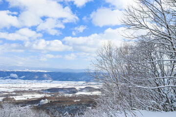 富良野スキー場
