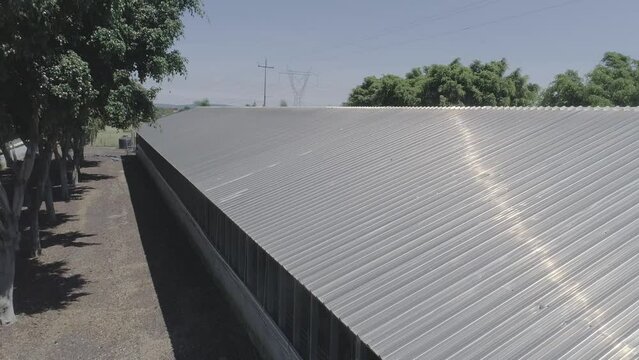 granjas de animales cerdos 