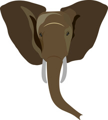 Cartoon elephant head. Wild animal. Vector illustration.