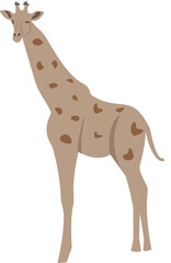 Giraffe with a long neck. Vector illustration.