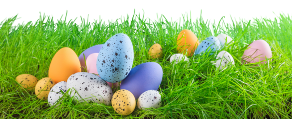 Colored Easter eggs with a green grass