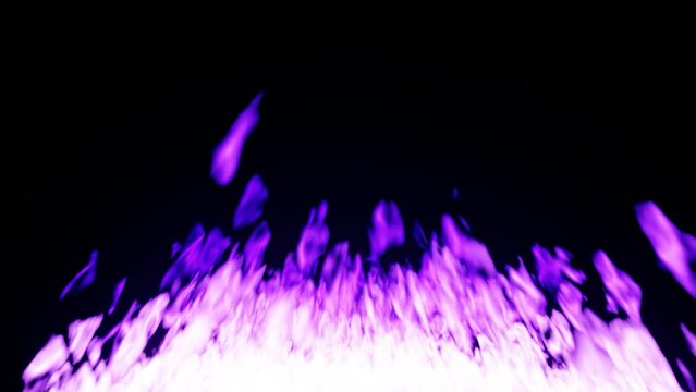 Purple Fire With Black Background 3d Render Hd 60 Fps