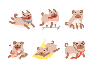 Funny Pug Dog with Curled Tail and Light Brown Coat Engaged in Different Activity Vector Set