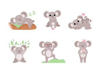 Cute Gray Koala Bear with Large Ears Engaged in Different Activity Vector Set