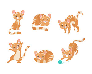 Cute Ginger Striped Kitten as Furry Domestic Pet Vector Set