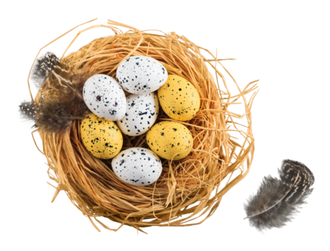 Beautiful colored easter eggs in the nest