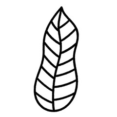 tropical leaf line icon.