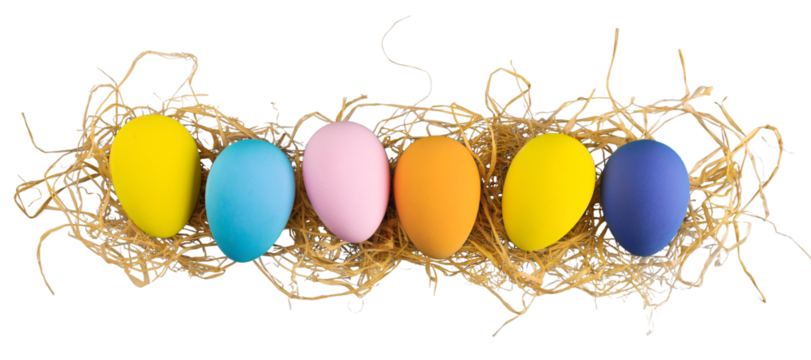 Cute creative easter eggs in different colors