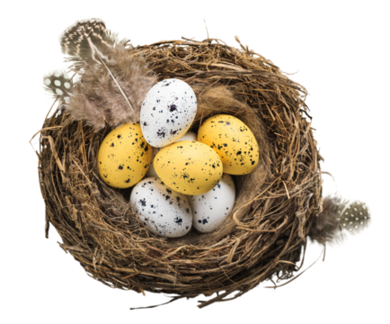 Beautiful colored easter eggs in the nest