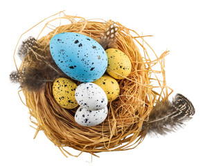 Beautiful colored easter eggs in the nest