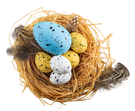 Beautiful colored easter eggs in the nest