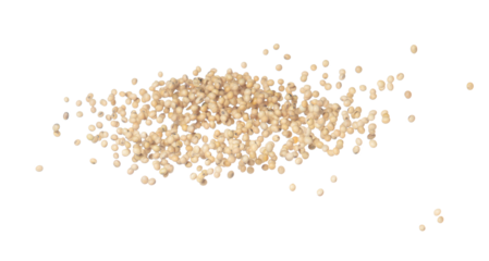 Soy Bean flying explosion, yellow grain beans explode abstract cloud fly. Beautiful complete seed pea soy bean splash in air, food object design. Selective focus freeze shot white background isolated