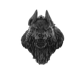 werewolf head isolated on white background