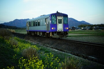 Obraz premium 菜の花の咲く関西本線を走るキハ120形普通列車