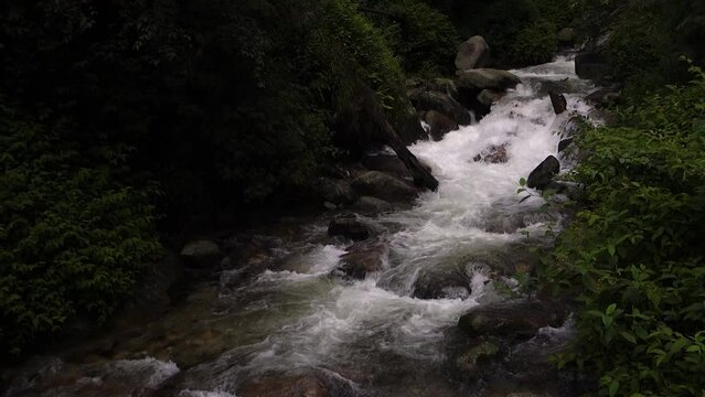 River flowing ( Barati Nala ) alongside Shrikhand Mahadev kailash Yatra trail through dense forest and Mountains. Himachal Pradesh India.