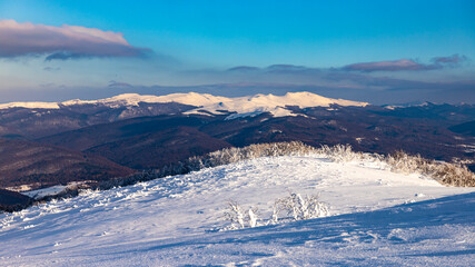 panorama of snow-capped mountains with icy plants as seen from the summit of mala rawka, bieszczady, poland, cold winter in the mountain © Lens Down Under