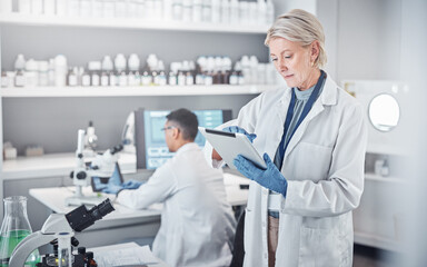 Senior scientist woman, tablet and laboratory for analysis, research or focus in pharmaceutical...