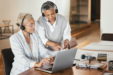 Laptop, consulting and woman help mentor while doing presentation in a virtual meeting, documents...