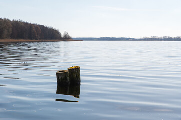 Stumpf im Wasser eines Sees