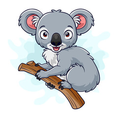 Cartoon funny koala isolated on white background