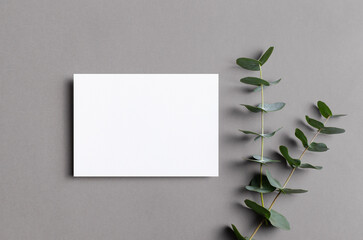 Wedding invitation or greeting card mockup with fresh eucalyptus twig, blank card with copy space