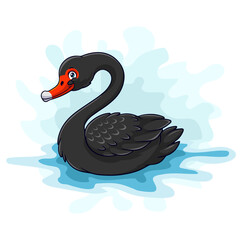 Cartoon funny black swan isolated on white background