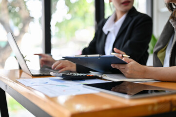 Fototapeta premium cropped image, Professional businesspeople discussing and consulting on a new business project