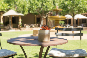 beautiful garden with fountain at a winery in South Africa