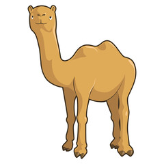 Camel Cartoon Illustration PNG Transparent