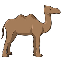 Camel Cartoon Illustration PNG Transparent