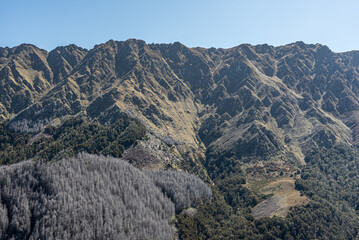 Naklejka premium High pointed mountains and forest. Queenstown mountains, New Zealand a warm and sunny day.