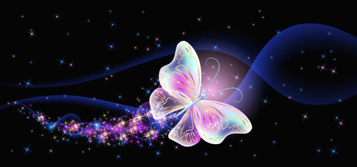 Fantastic butterfly and magical curving transparent waves with glowing stars on night dark background