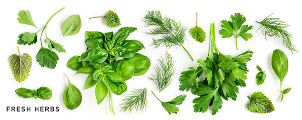 Parsley, basil, dill and mint leaves creative layout.