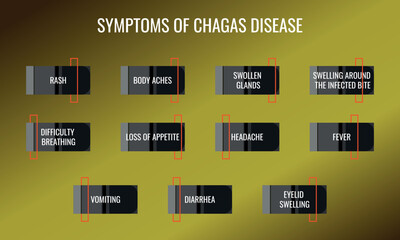 symptoms of Chagas disease. Vector illustration for medical journal or brochure.