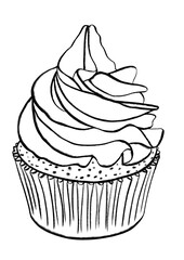 cupcake, outline hand drawn illustration