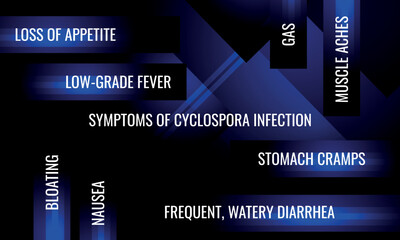 symptoms of Cyclospora infection. Vector illustration for medical journal or brochure.