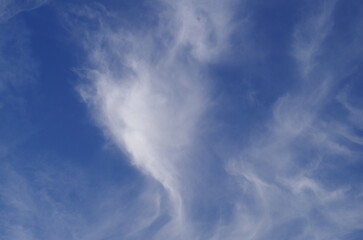 雲