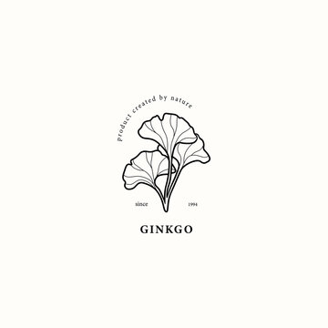Line art ginkgo leaf logo