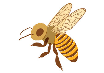 水彩タッチのミツバチのイラスト素材