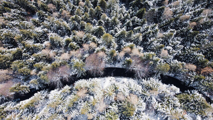 Aerial high angle view of narrow winding curvy mountain road among the trees covered with snow in winter forest. Snowy landscape, view from above.