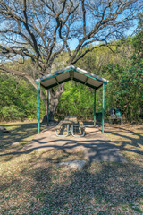 Fototapeta na wymiar Austin, Texas- Community park with picnic table under a roof