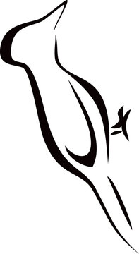 recommend clip art: Simple illustration of woodpecker bird