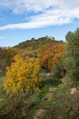 Ruins of the castle of Castellas, over Rocbaron and Forcalquieret in Provence, France, under a nice cloudy sky in winter
