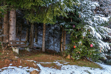 Parkbank an Waldrand mit Blick auf Weihnachten im Wald: Weihnachtskugeln als Weihnachtsschmuck an...
