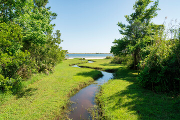 Fototapeta na wymiar Small river with green shore heading to the salt water at the bay in Navarre, Florida