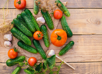 Fresh vegetables on a wooden background. The concept of healthy eating. Cucumbers, tomatoes, garlic, dill. Top view.