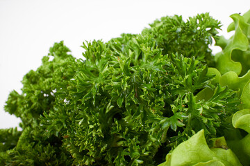fresh parsley on the white