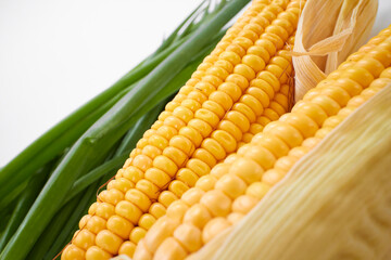 fresh corn on the white