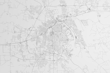 Map of the streets of Shreveport (Louisiana, USA) on white background. 3d render, illustration