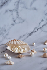 pearls in a shell on a marble background